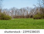 The Charles Young Buffalo Soldiers National Monument in Greene County