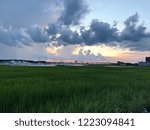 Charleston cloudy sunset