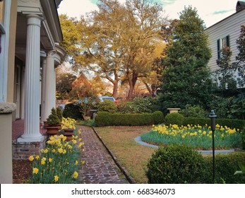 Charleston Gardens Images Stock Photos Vectors Shutterstock