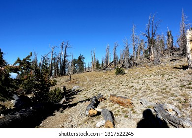 Charleston Peak In Nevada On A Clear Day.