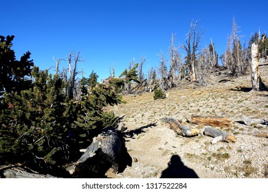 Charleston Peak In Nevada On A Clear Day.