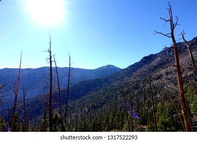 Charleston Peak In Nevada On A Clear Day.