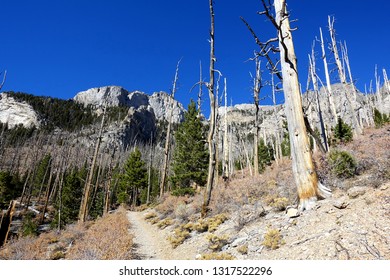 Charleston Peak In Nevada On A Clear Day.