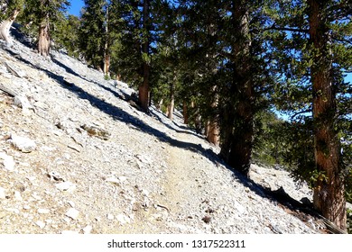 Charleston Peak In Nevada On A Clear Day.