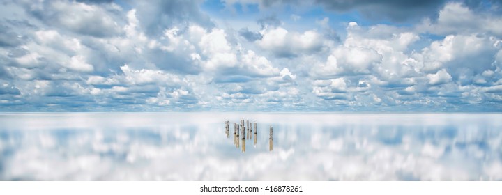 Charleston, SC Lowcountry ACE Basin Reflective Landscape Scene