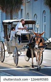 Charleston, SC May 2011 Watching The Horse And Carriage Rides Throughout The City.