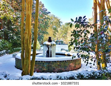 Charleston SC In The Snow!