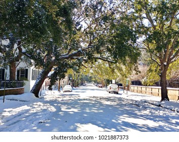 Charleston SC In The Snow!