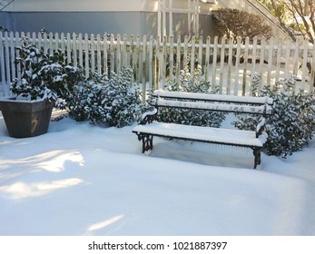 Charleston SC In The Snow!