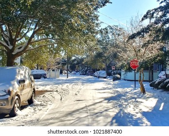 Charleston SC In The Snow!