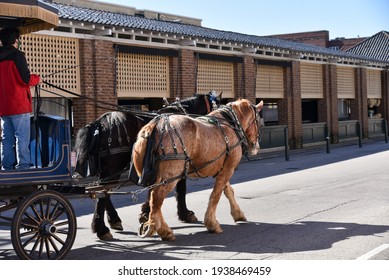 Charleston, SC, USA - February 08 2021: Horse-drawn Carriage Touring The Streets Of Historic Charleston South Carolina.