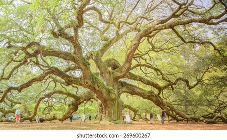 Charleston, SC, USA-April 2-Tourists flock around the Angel Oak Tree in Charleston, SC on April 2, 2015.  The Angel Oak is estimated to be around 500 years old is 66.5 feet tall.