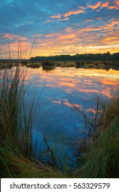 Charleston South Carolina Lowcountry sunset scene over reflective marsh and wetlands 