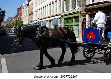 CHARLESTON,SC - USA - 04-19-2021: A Guide Gives A Horse Drawn Carriage Tour On King Street In Charleston SC  