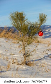 A Charlie Brown Christmas Tree.