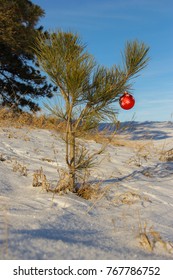 A Charlie Brown Christmas Tree.