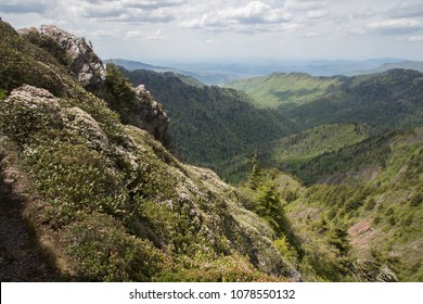 Charlie's Bunion - Great Smoky Mountains National Park - Appalachian Hiking Trail