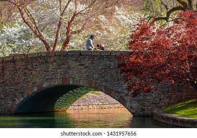 Charlotte, NC/USA - March 27, 2019: A beautiful pastoral scene of a couple standing on a stone bridge over a pond with colorful blooming trees and foliage all around as the sun sets.