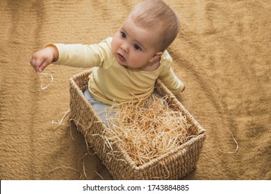 Charming Baby Sitting In A Square Wicker Basket With Straw