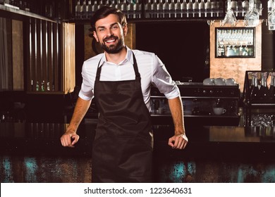 Charming Barmen. Handsome Young Man In Apron Looking At Camera With Smile While Standing At The Bar Counter 
