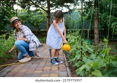 Charming Caucasian young woman and her lovely daughter work together in the family ecological vegetable garden. Beautiful baby girl watering cultivated organic vegetables. Agribusiness, horticulture - Powered by Shutterstock