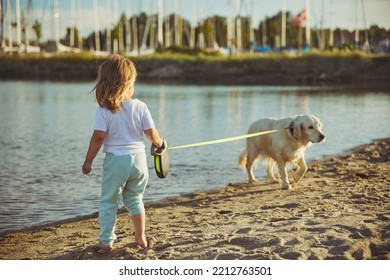 Charming Child Walking The Dog On The Beach At Sunset