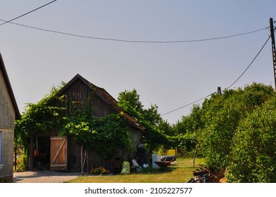 Charming Cottage At The Back Of The House