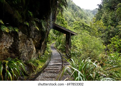 Charming Creek Walkway, New Zealand