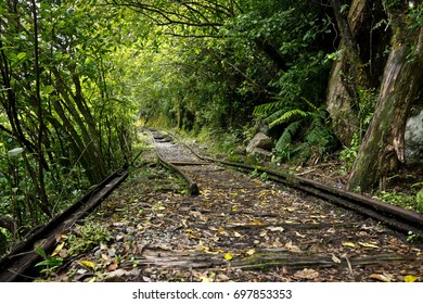 Charming Creek Walkway, New Zealand