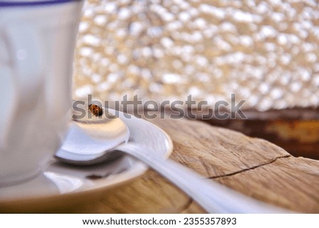 Charming Encounter: Ladybug on Tea Cup and Saucer