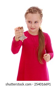 Håret teen hamster