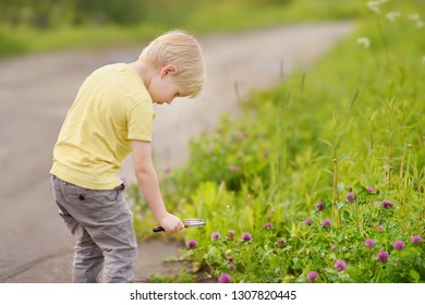 Charming Kid Exploring Nature With Magnifying Glass. Little Boy Looking At Flower With Magnifier. Summer Activity For Inquisitive Child