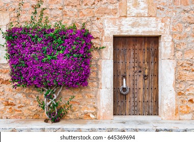 Charming Mediterranean House With Wooden Front Door And Beautiful Bougainvillea.