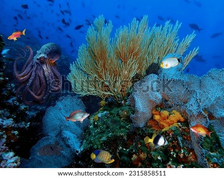 A charming octopus swims next to the magical beauty of a coral reef with numerous fish of magnificent rainbow coloring