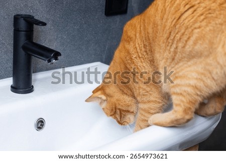 A charming orangecolored cat is drinking refreshing water from a pristine white sink, indulging its thirst in a cozy environment