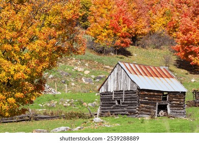 A charming rustic cabin sits in a scenic countryside setting, surrounded by vibrant autumn foliage. The colorful leaves create a picturesque scene, perfect for capturing the beauty of fall. - Powered by Shutterstock