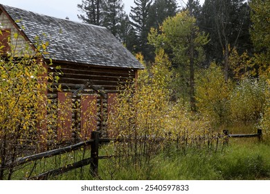 Charming Rustic Cabin Surrounded by Autumn Foliage and Wooden Fence - Powered by Shutterstock