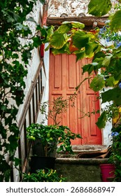 Charming rustic red door surrounded by lush potted plants and greenery in an inviting alleyway setting.