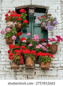 Charming rustic window decorated with vibrant red and pink flowers in clay pots against a textured white brick wall. 