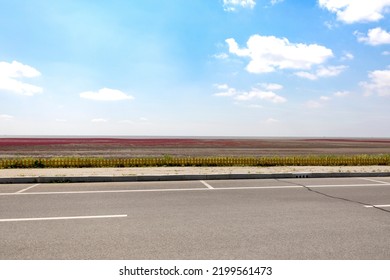 Charming Scenery Of Panjin Red Beach, Liaoning, China