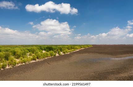 Charming Scenery Of Panjin Red Beach, Liaoning, China