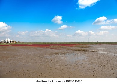 Charming Scenery Of Panjin Red Beach, Liaoning, China