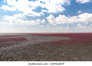 Charming Scenery Of Panjin Red Beach, Liaoning, China