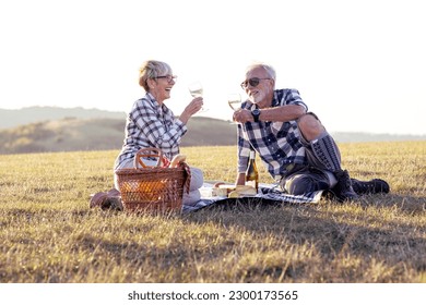 Charming senior couple enjoying a delightful picnic in the great outdoors. They are seen lounging comfortably on a checked blanket surrounded by a lush green landscape. The couple has a relaxed