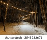 A charming snowy path winding through a tranquil forest at night, beautifully adorned with twinkling Christmas lights hanging gracefully from the tall trees all around me, creating a magical scene