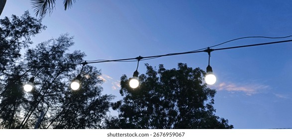 Charming string lights at dusk, beautiful evening atmosphere under dark blue sky, surrounded by lush trees, tranquil outdoor night scenery concept. 