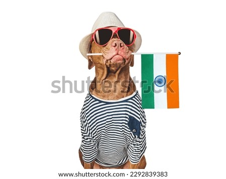Charming, sweet brown dog, sun hat and Indian Flag. Travel preparation and planning. Close-up, indoors. Studio shot, isolated background. Vacation, travel and tourism concept. Pet care
