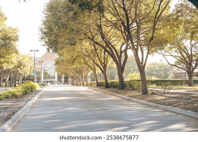 Charming tree lined street led guide to City Hall building of Farmers Branch, Texas, a city in suburb Dallas County part of DFW metroplex, well maintained tall matured lush greenery oak trees. USA - Powered by Shutterstock