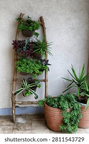 A charming vertical garden setup on a cozy balcony or patio. A rustic, handmade wooden ladder leans against a gray plaster wall, holding several small hanging pots filled with various green and purple succulents, tradescantia, and agave plants. Large terracotta pots with spilling succulents sit on the tiled floor beside it.
