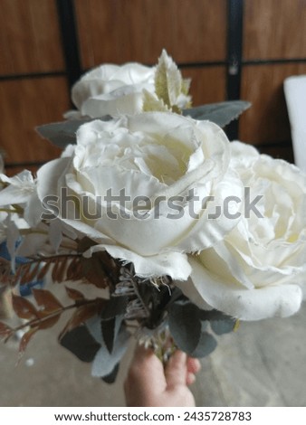 Charming white roses, pleasing to the eye and fragrant